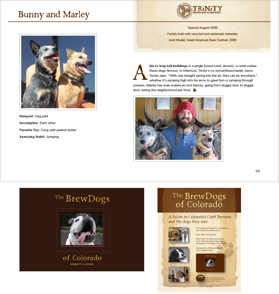 Brew Dogs of Colorado Book Design by Moving Pixels Creative - Colorado Graphic Design and Web Design